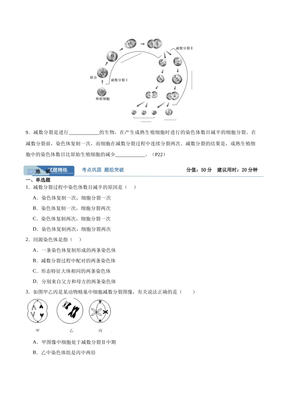 考点通关卷13 减数分裂和受精作用(学生版).docx_第2页