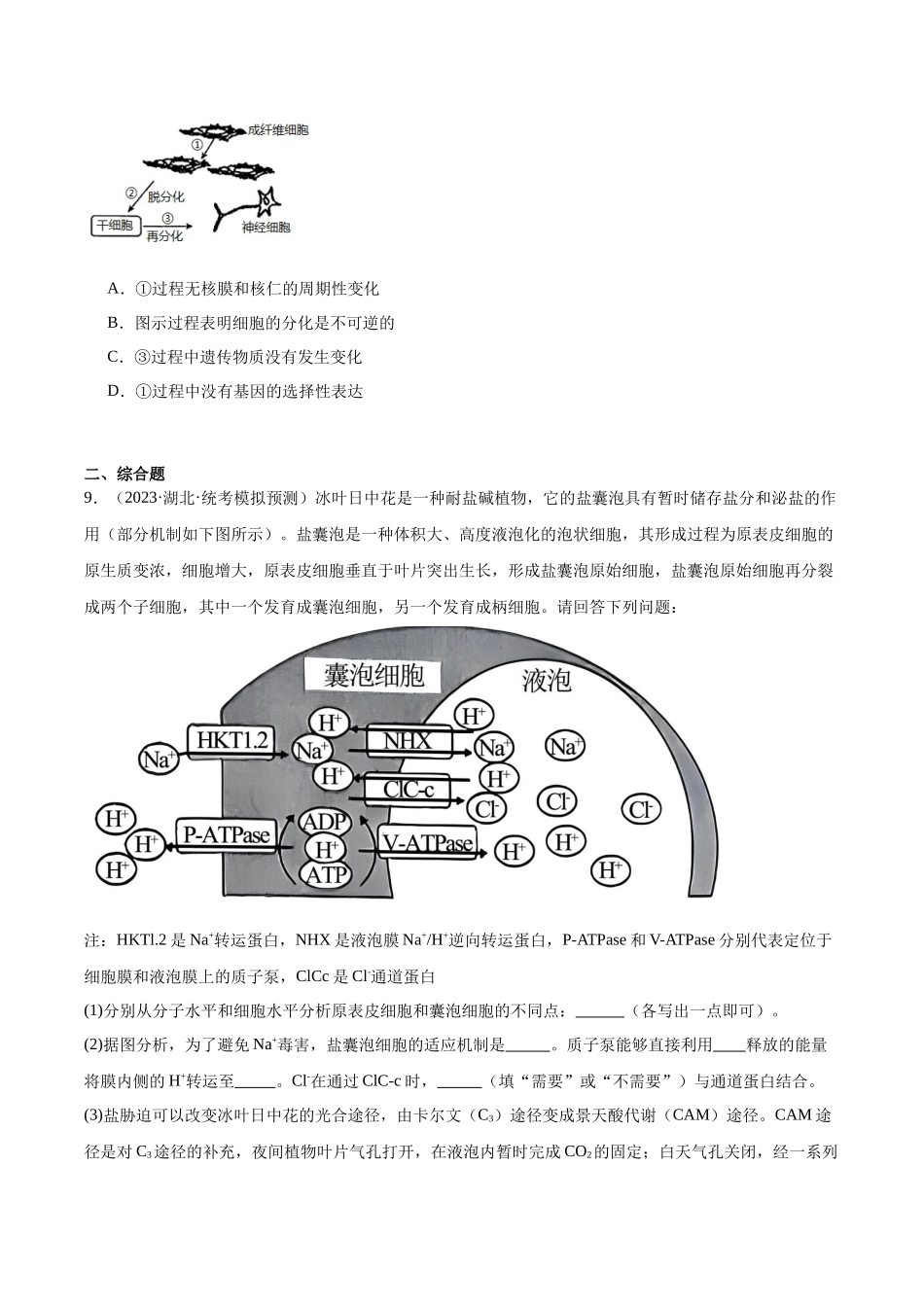 考点通关卷14 细胞分化、衰老、凋亡和癌变（原卷版）.docx_第3页