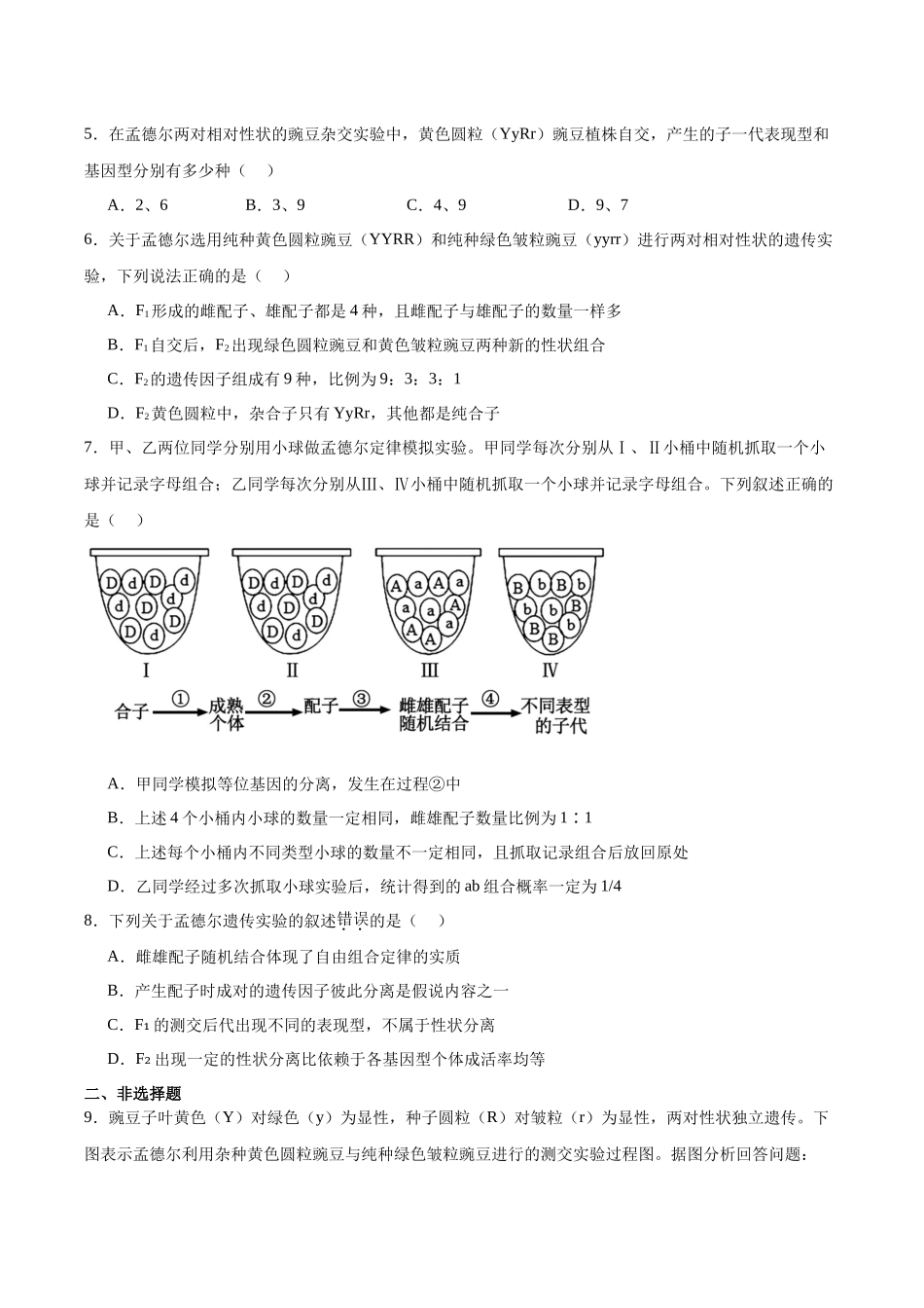 考点通关卷16 基因的自由组合定律(学生版).docx_第3页