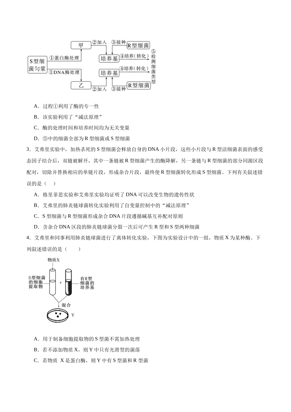 考点通关卷19 DNA是主要的遗传物质(学生版).docx_第2页