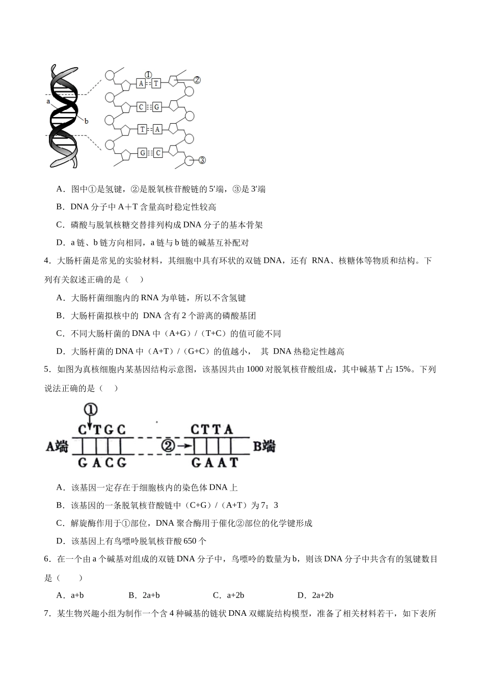 考点通关卷20 DNA结构、复制与基因的本质(学生版).docx_第2页