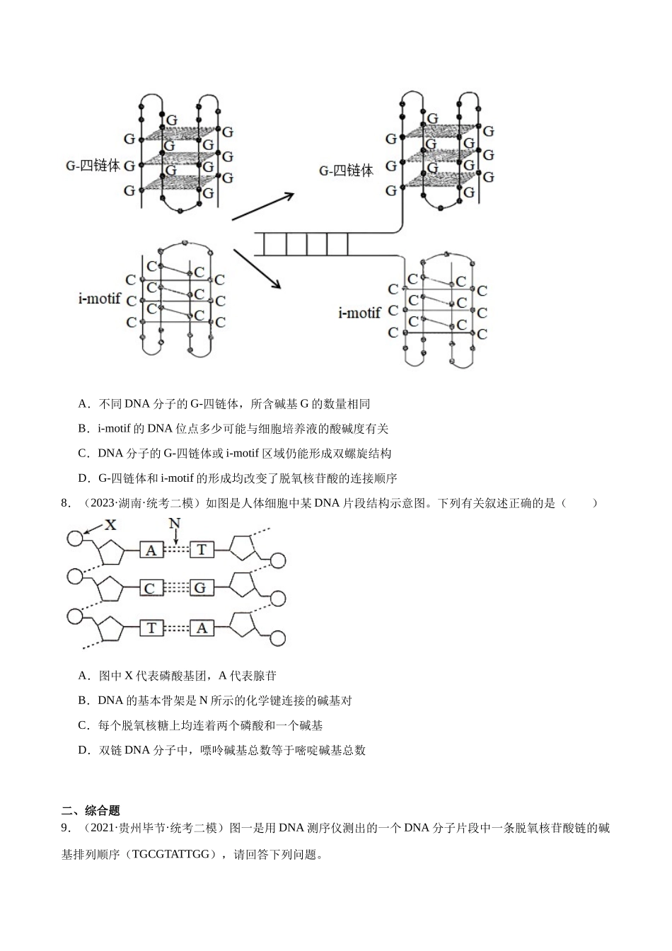 考点通关卷21 DNA分子的结构、复制与基因的本质(原卷版).docx_第3页