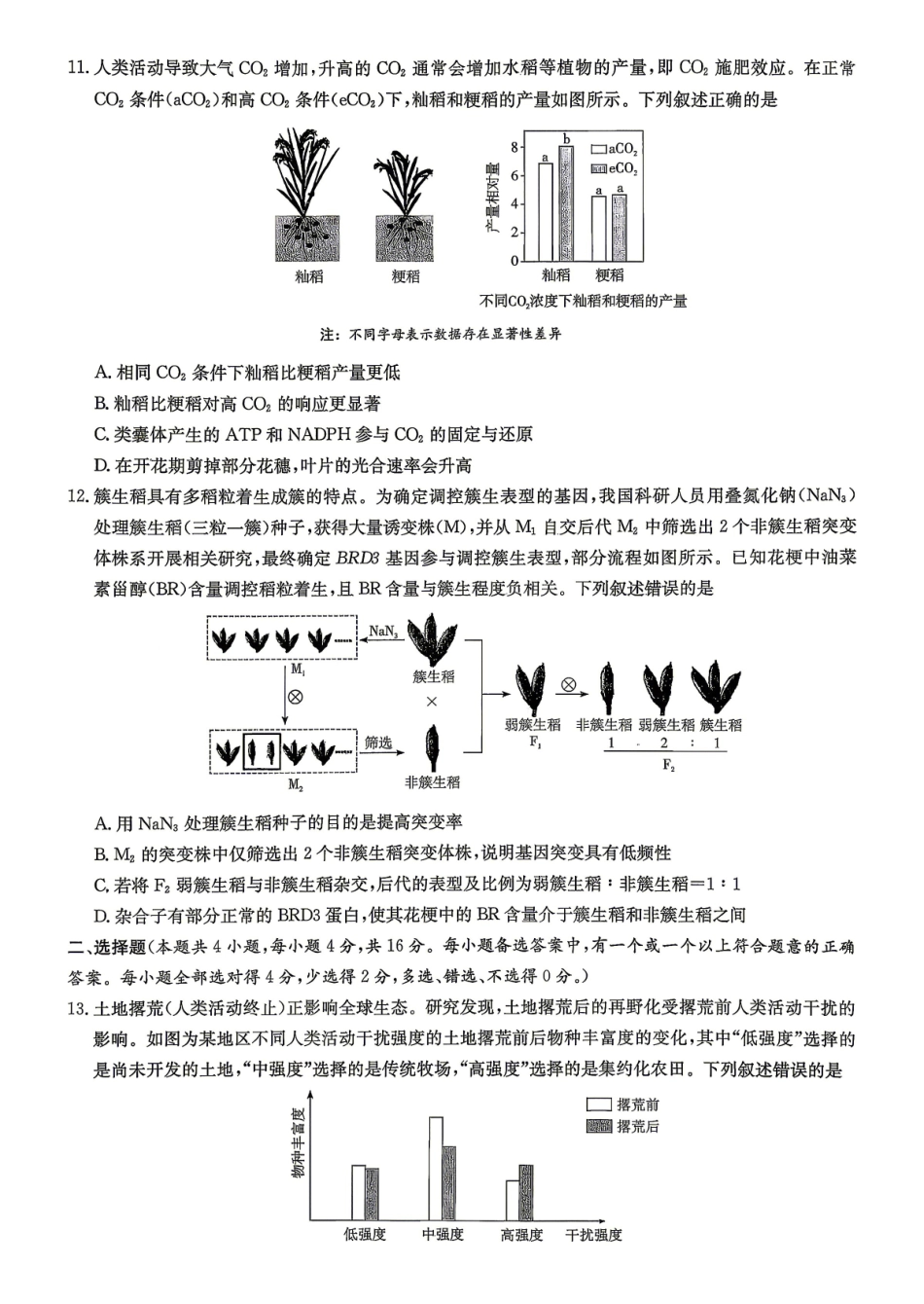 2026届高三下学期5月联考(L6)生物.pdf_第3页