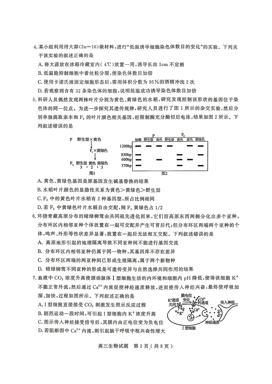2026年高考模拟考试生物.pdf_第2页
