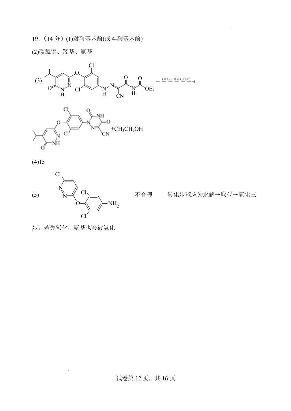 东北育才学校2026届高三下学期5月模考化学答案.pdf_第2页