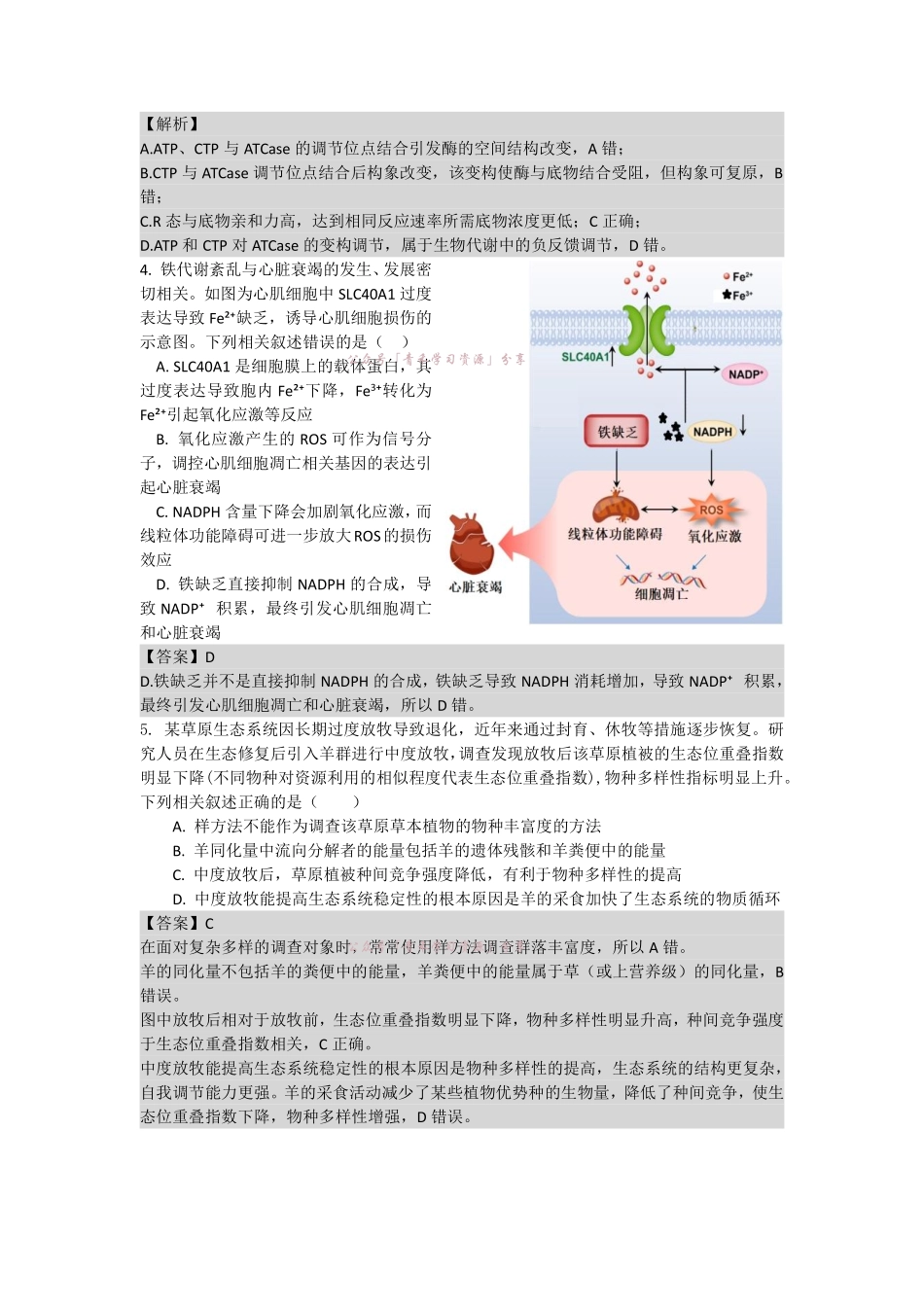 合肥市第八中学2026届高三最后一卷生物答案.pdf_第2页