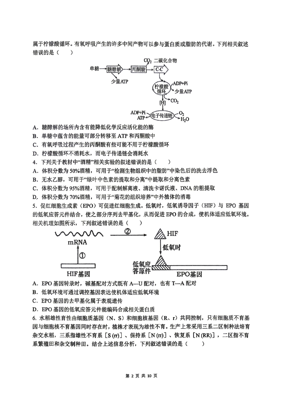合肥市第一中学2026届高三最后一卷生物.pdf_第2页