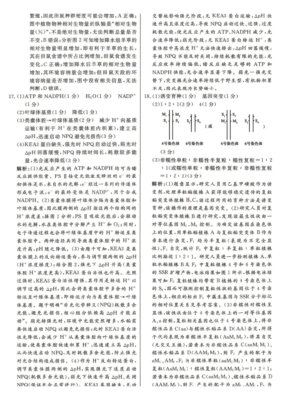 生物【G20最后一考】江西G20联盟2026届高三年级5月考前临门一练(5.20-5.21)(1).pdf_第3页