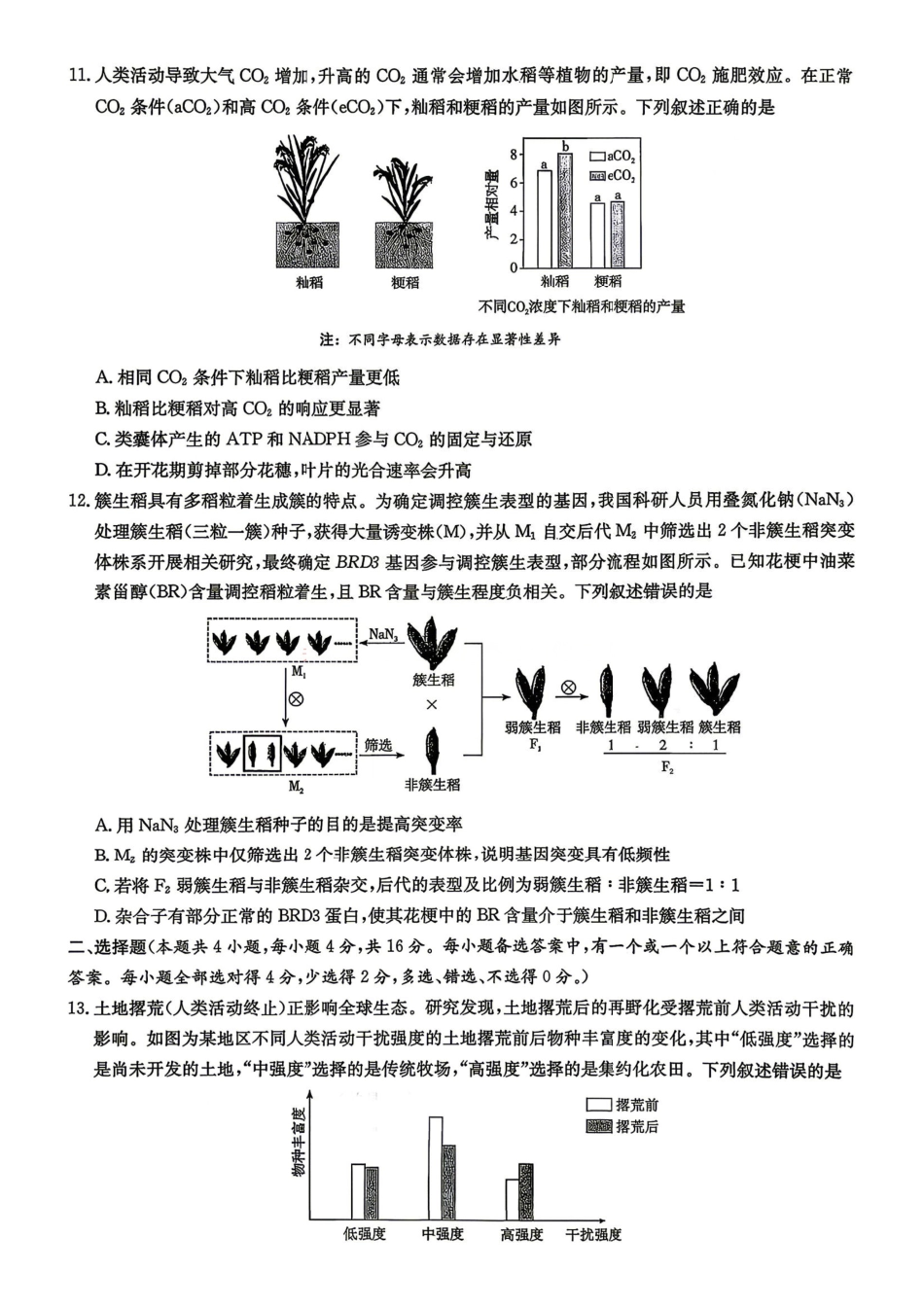 生物试题+答案湖南炎德英才大联考2026届高三年级5月21日考前模拟考试()(5.21-5.22).pdf_第3页