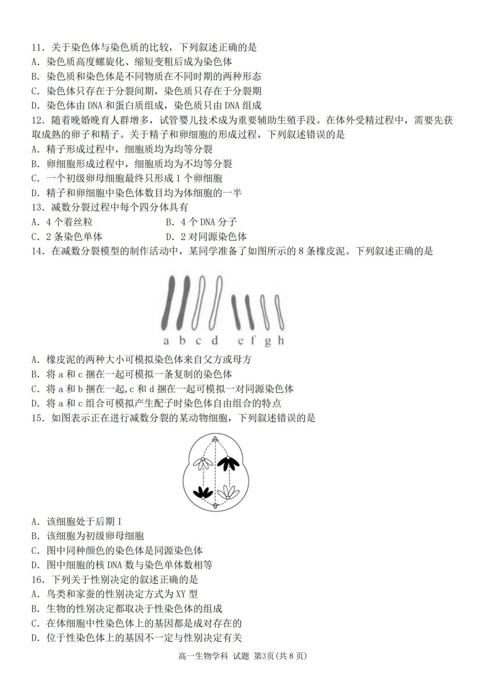 浙江嘉兴市八校联盟2025-2026学年高一下学期期中联考生物试题含答案.pdf_第3页