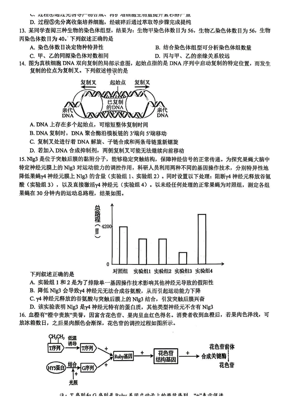 浙江七校2026年5月高三联考生物(1).pdf_第3页