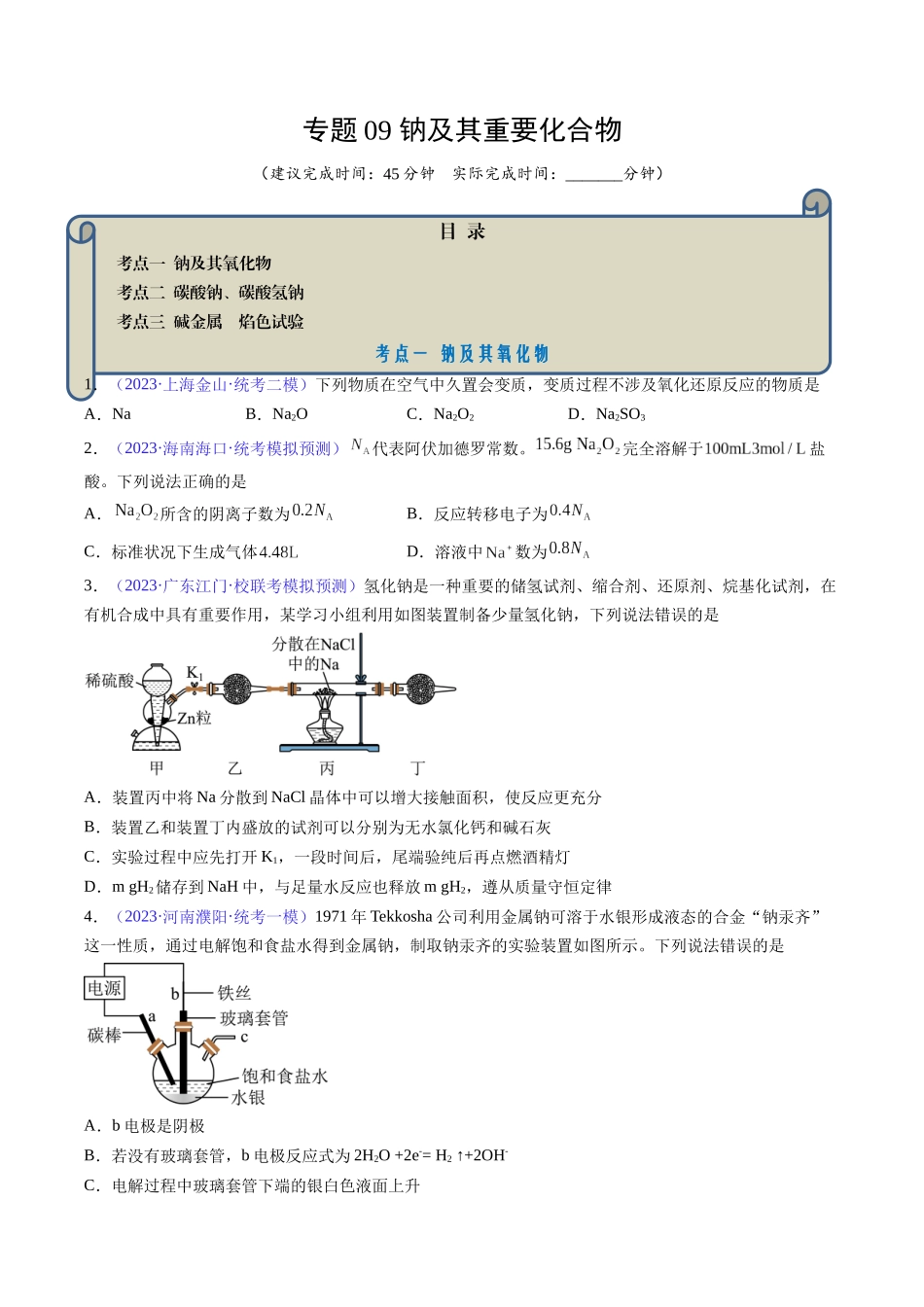 专题09 钠及其重要化合物-（原卷版）.docx_第1页