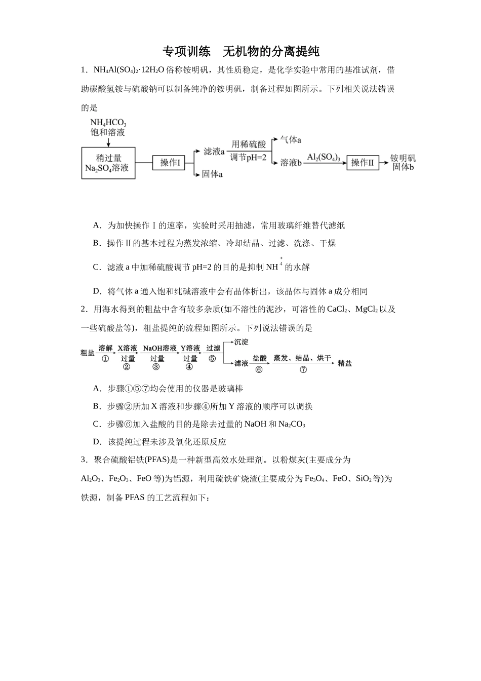 专项训练 无机物的分离提纯（原卷版）.docx_第1页