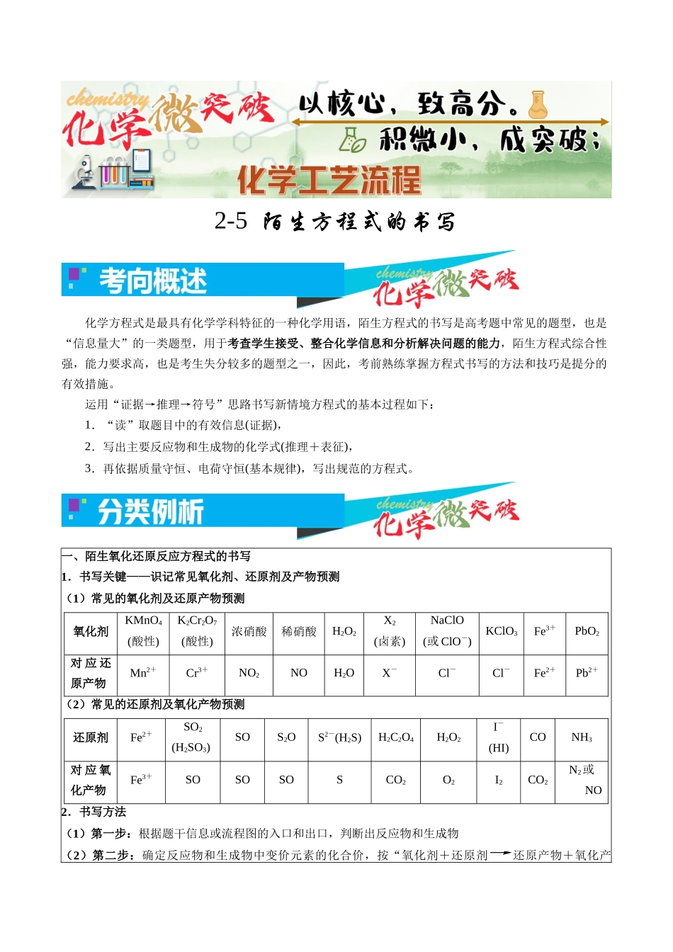 2-5 陌生方程式的书写(教师版).docx_第1页