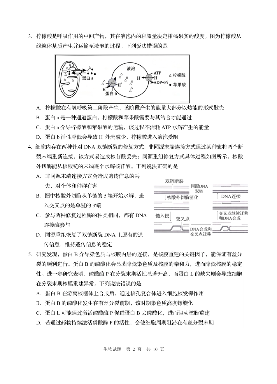 2026年高三年级第三次适应性检测生物.pdf_第2页