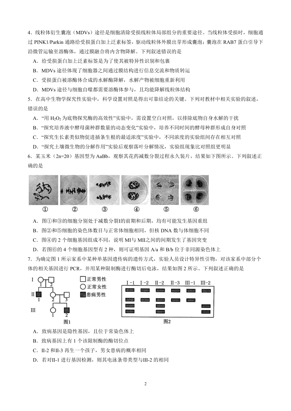 成都石室中学高2026届适应性考试（二）生物.pdf_第2页
