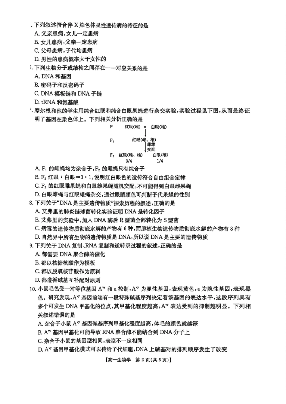 吉林金太阳2024-2025学年高一下学期期末考试生物试题含答案_副本.pdf_第2页
