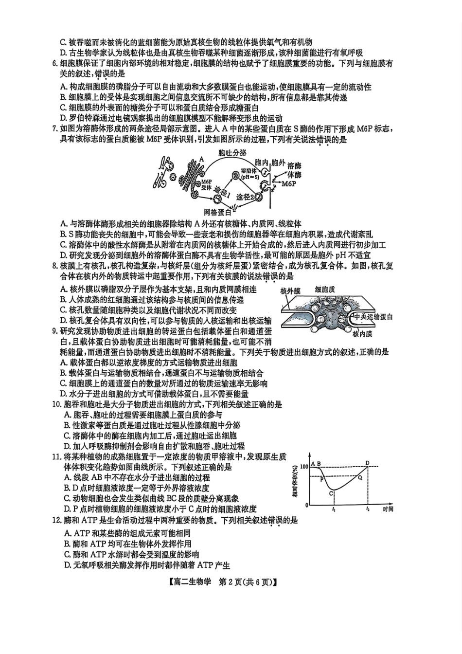 九师联盟2024-2025学年高二下学期7月期末联考生物+答案_副本.pdf_第2页