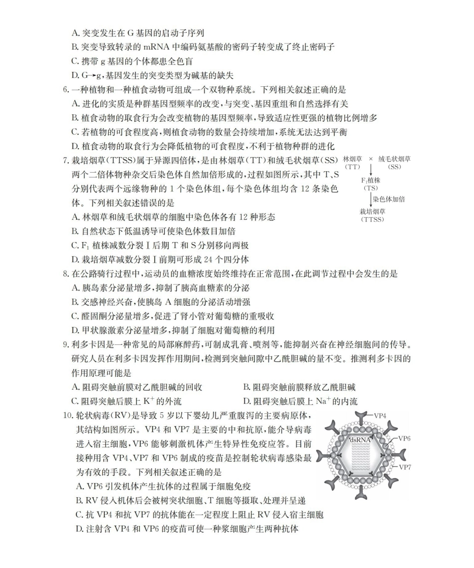 生物(下标YN)云南部分学校GolidenSuny联考2026届高三下学期5月14-15日百万大联考(下标YN)(5.14-5.15).pdf_第2页