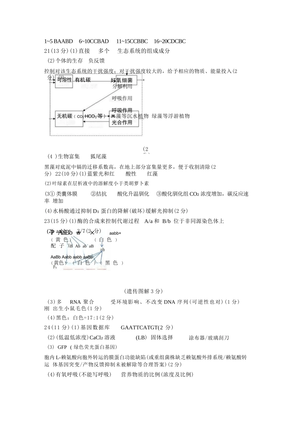 生物【中国第九高中】【浙江第一校】【镇海中学最后一考】浙江镇海中学2026年5月高三年级模拟练习(5月20左右)(1).docx_第1页