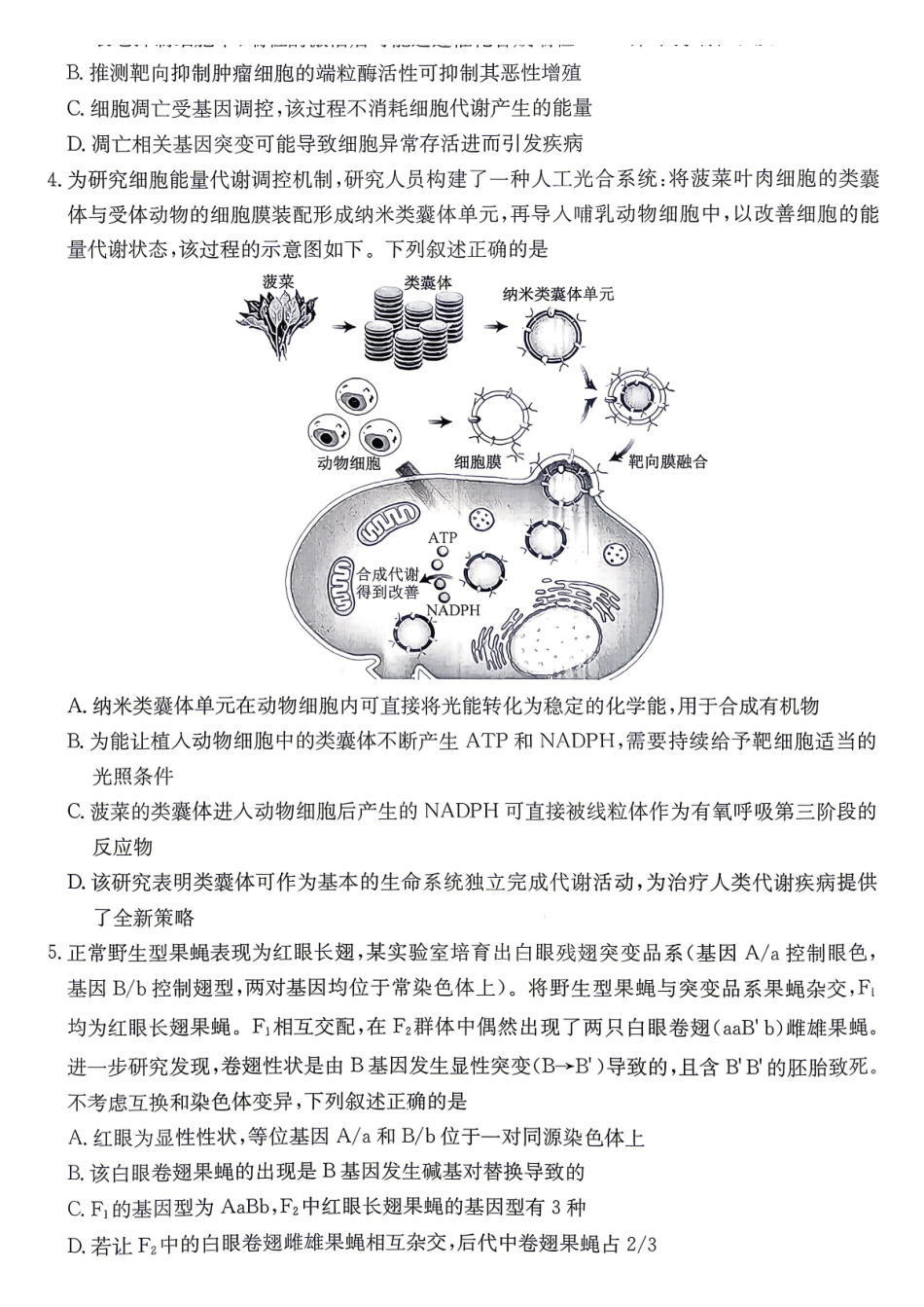 生物安徽十教育2026届高三年级最后一卷(5.25-5.26).pdf_第2页