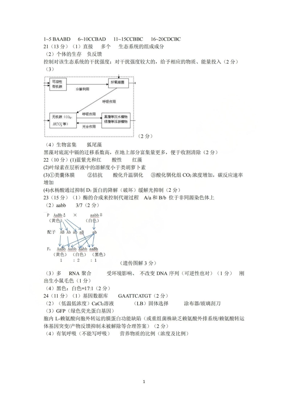 生物答案-2605镇海中学模拟.pdf_第1页