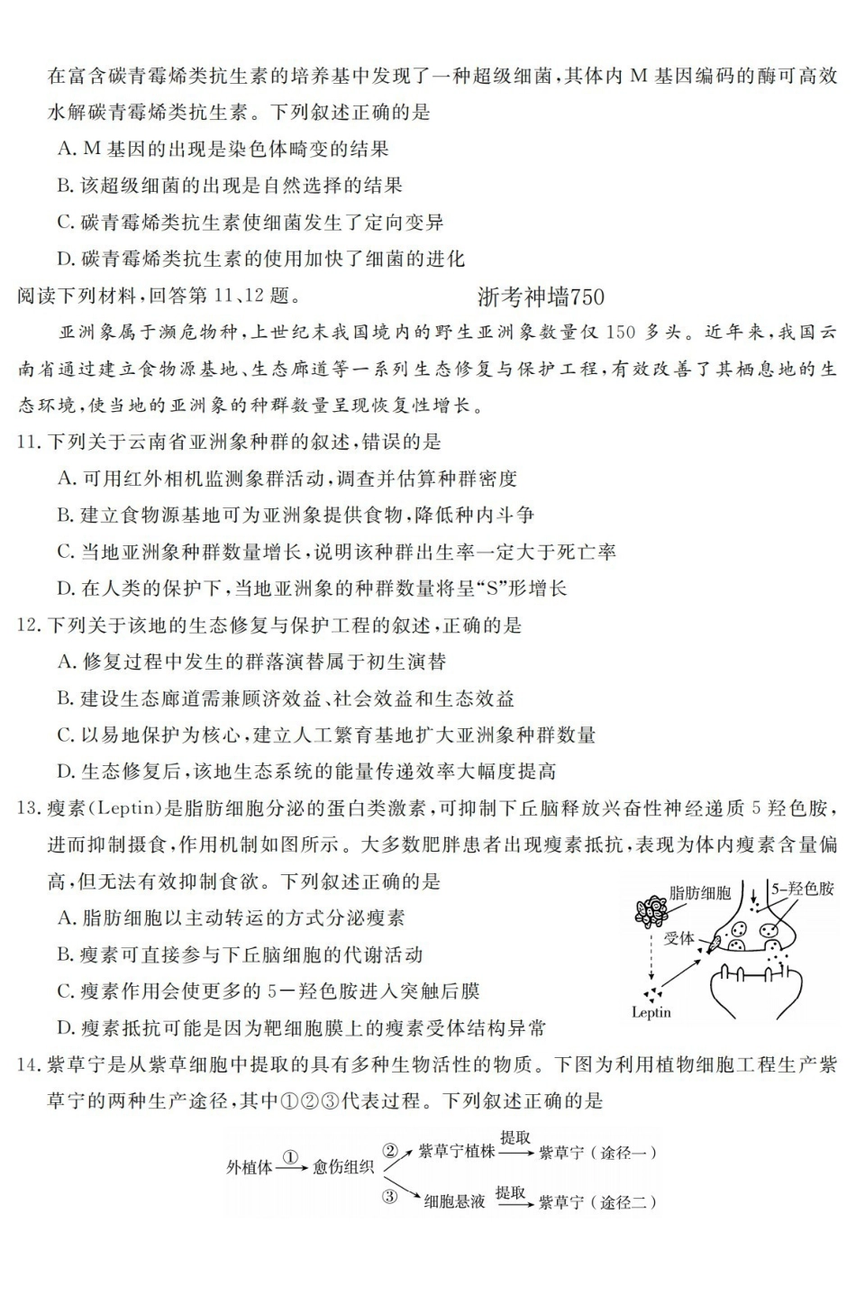 生物浙江强基联盟2026年高二年级5月题库(5.26-5.28).pdf_第3页