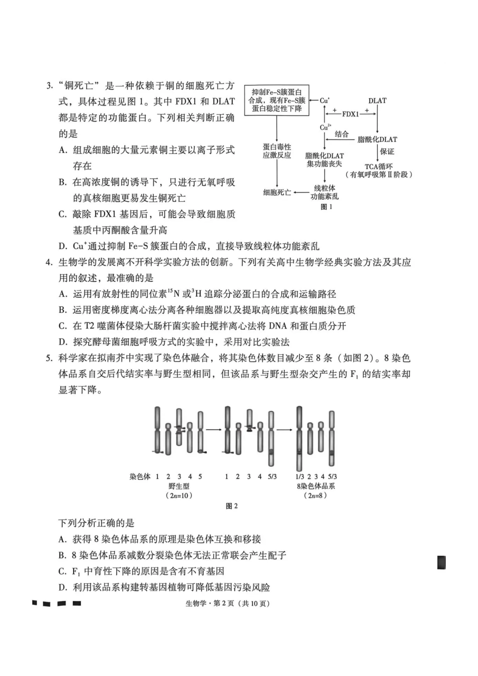 西南名校联盟2026届“3+3+3”高三考前学情自测生物.pdf_第2页