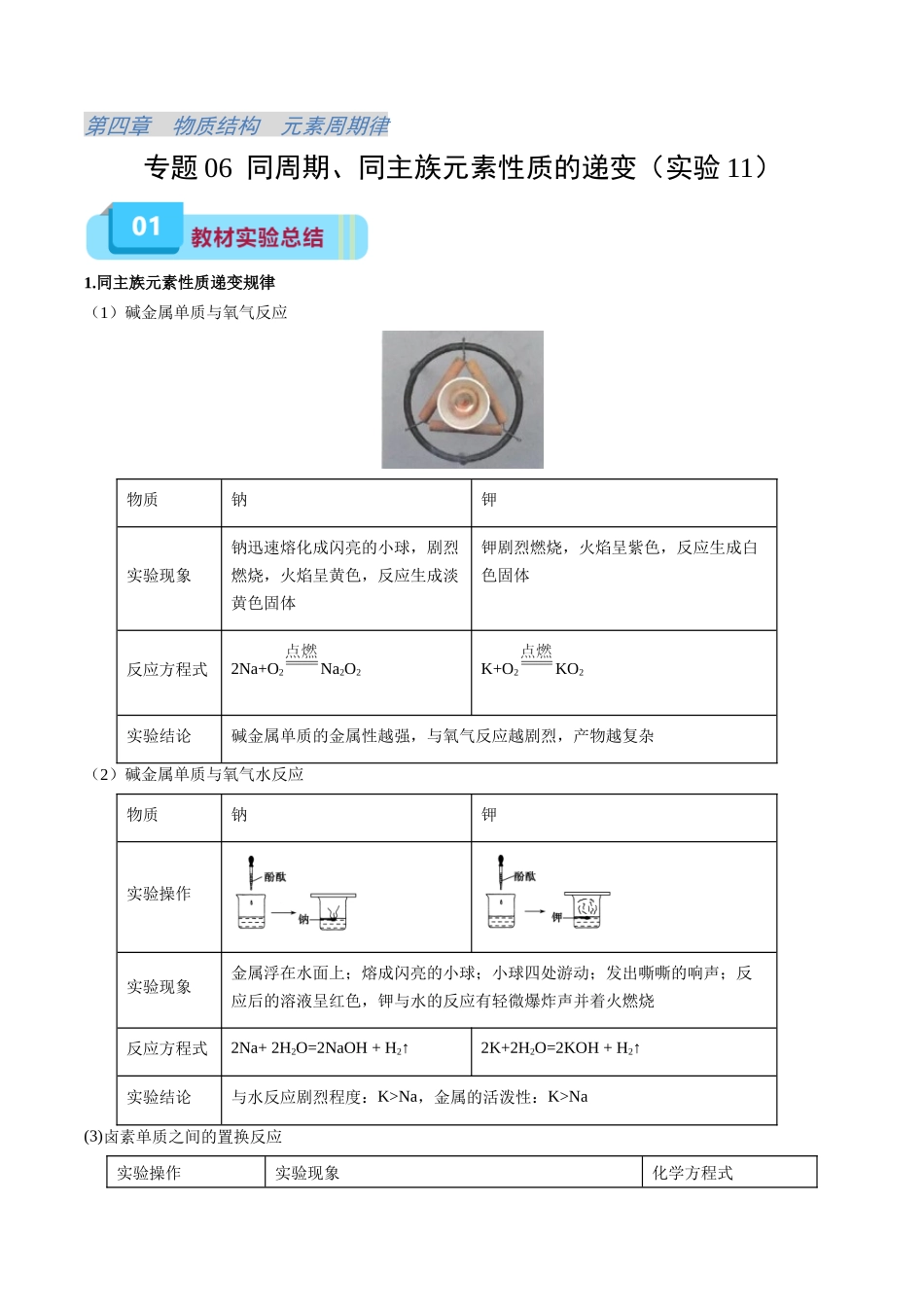 专题06 同主族、同主族元素性质的递变(实验11)(原卷版).docx_第1页