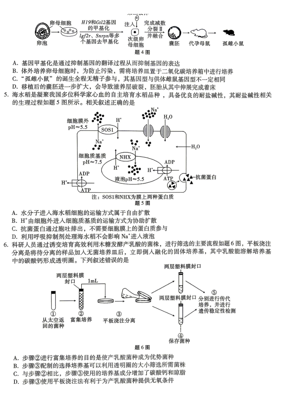 重庆巴蜀中学高2026届5月适应性月考(十)生物.pdf_第2页