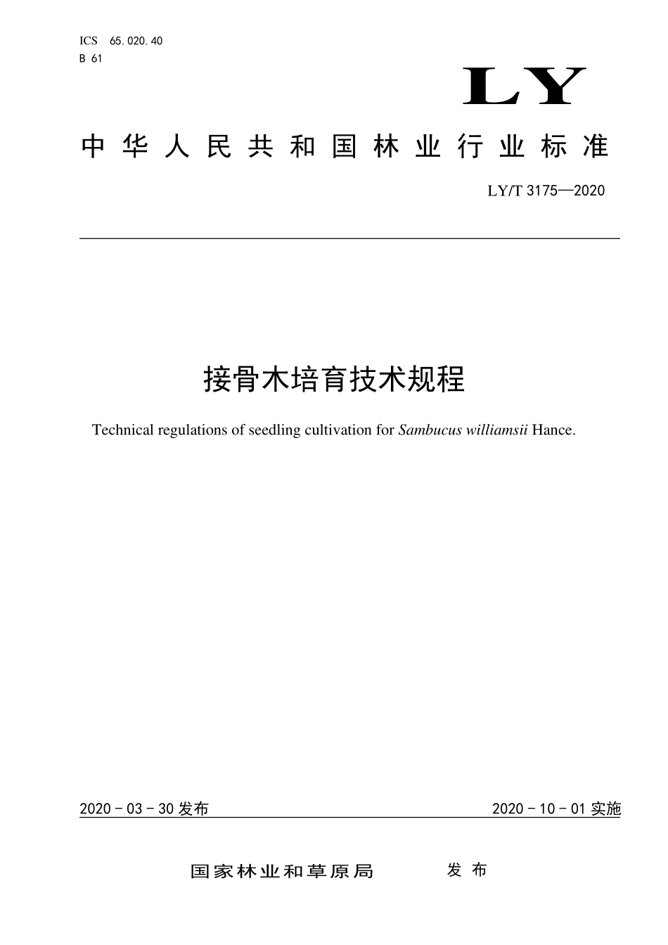 LYT 3175-2020 接骨木培育技术规程.pdf_第1页