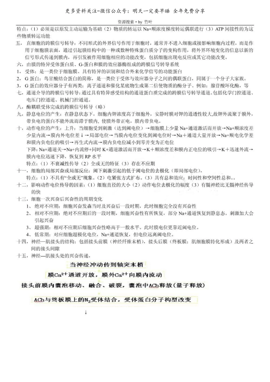 人体解剖生理学复习重点.pdf_第3页