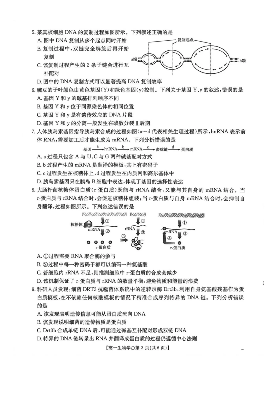 河北邢台市邢襄联盟2025-2026学年高一下学期生物试题河北邢台市邢襄联盟2025-2026学年高一下学期生物试题.pdf_第2页