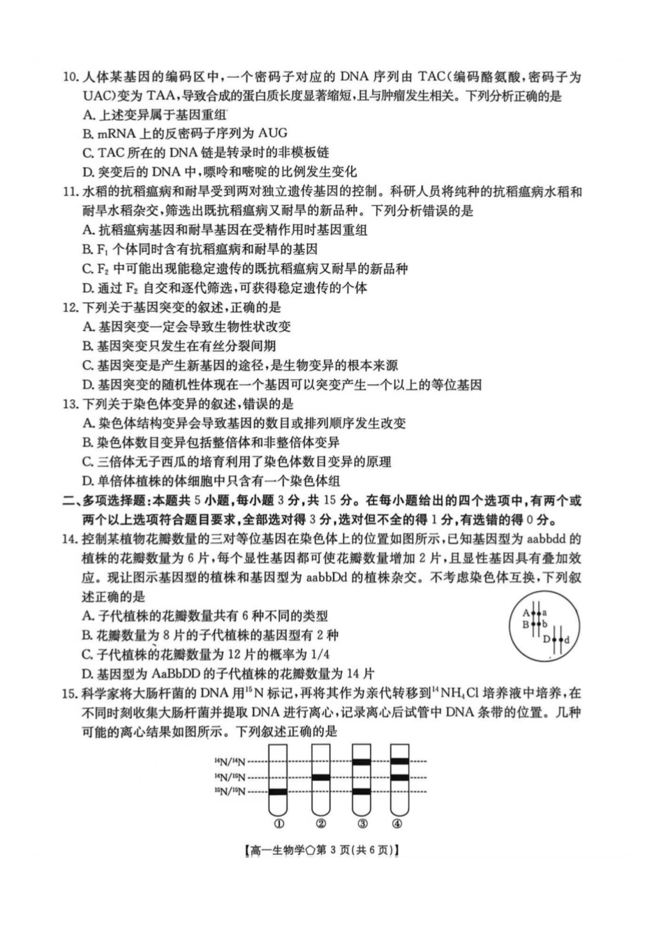 河北邢台市邢襄联盟2025-2026学年高一下学期生物试题河北邢台市邢襄联盟2025-2026学年高一下学期生物试题.pdf_第3页