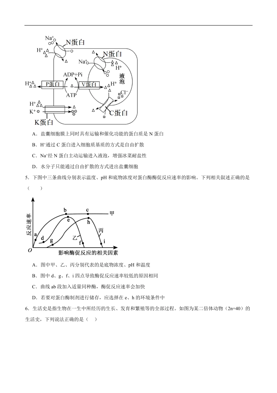 湖北荆州沙市中学2025-2026学年高一下学期6月阶段检测生物试题含答案.pdf_第2页