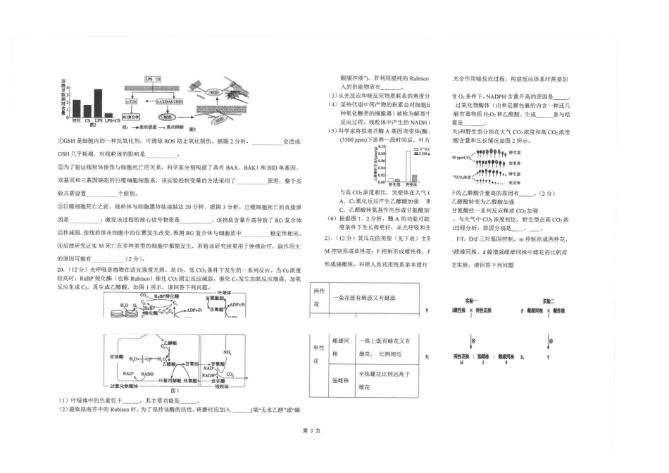 江苏南通市海安高级中学2025-2026学年高一下学期6月月考生物试题含答案.pdf_第3页