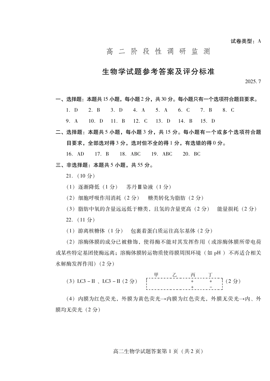 生物试卷(高二下期末考7.8-7.10)答案山东潍坊市2026届高二阶段性调研监测(高二下学期期末)(7.8-70.10).pdf_第1页