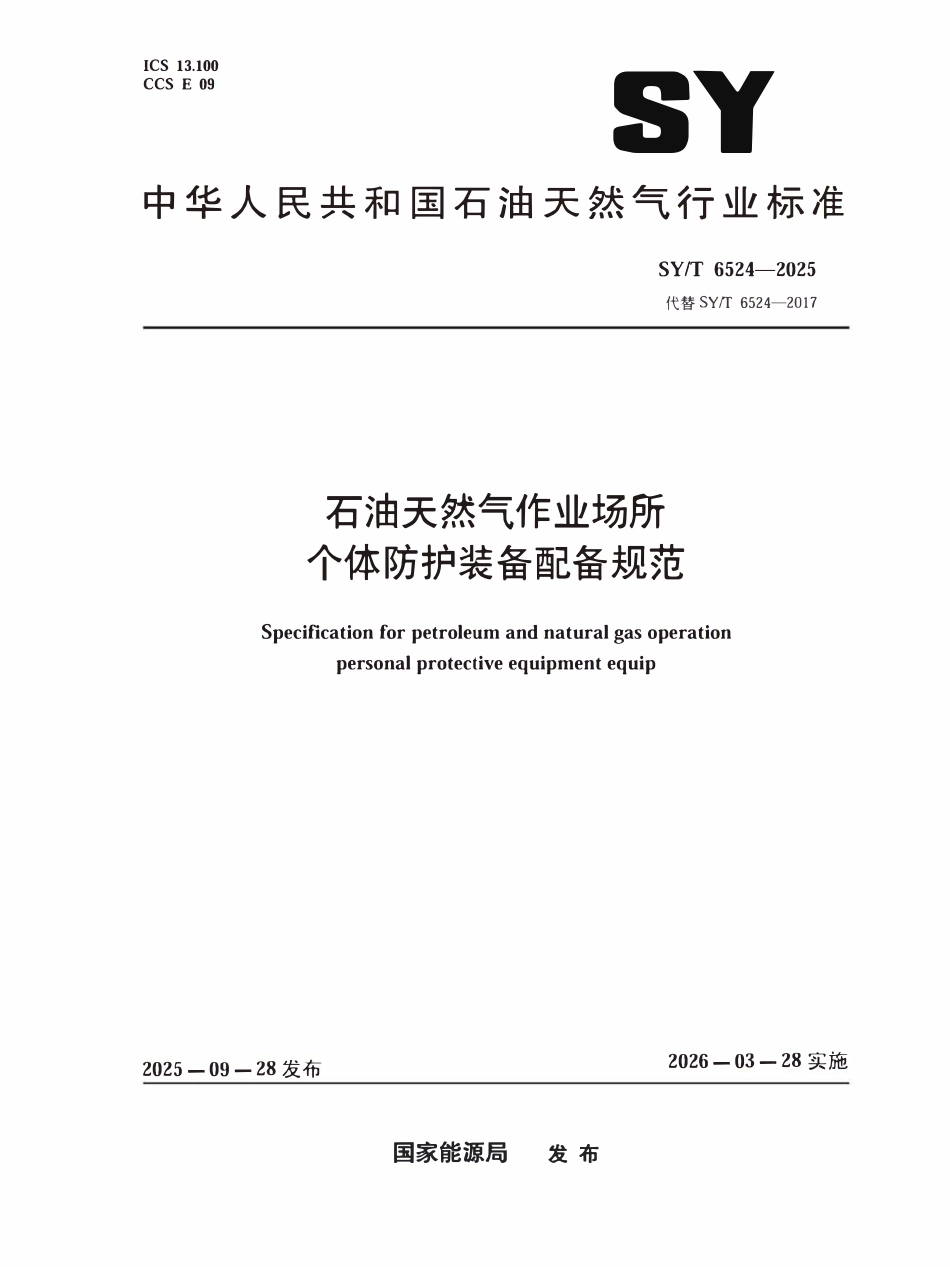 SYT 6524-2025 石油天然气作业场所个体防护装备配备规范.pdf_第1页