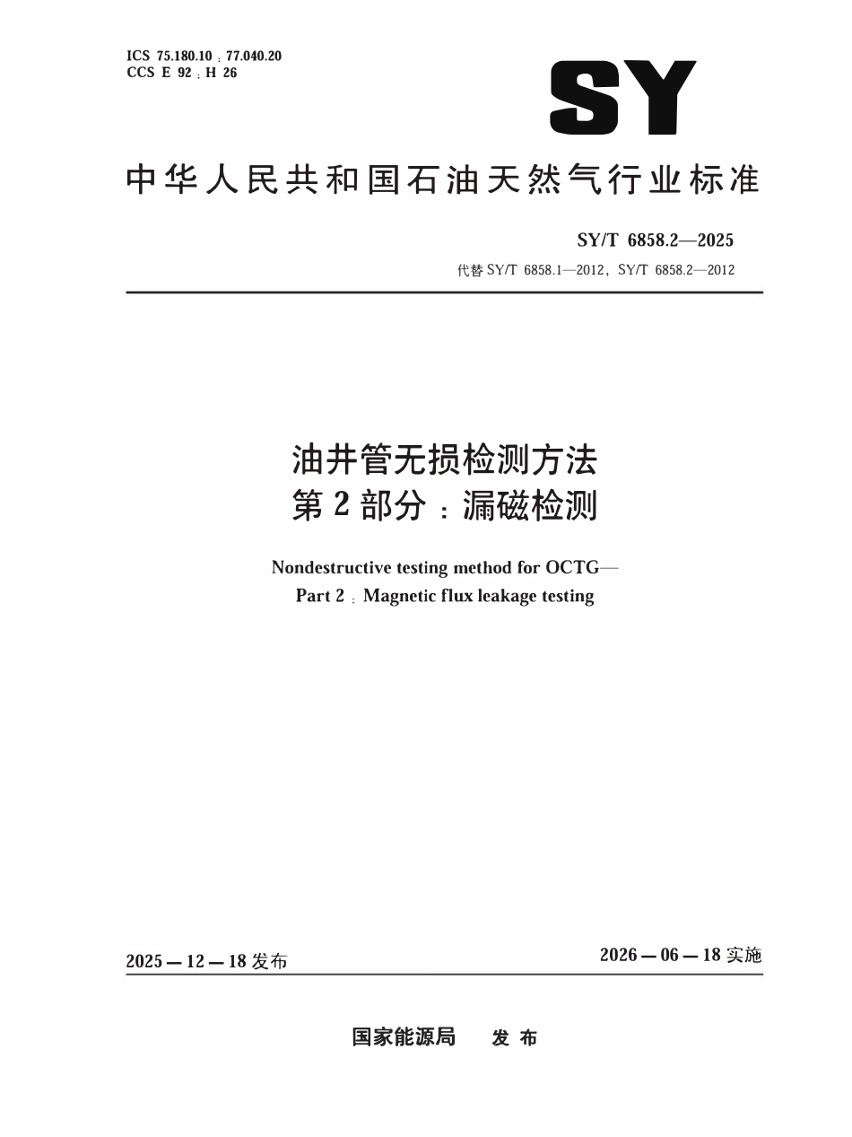 SYT 6858.2-2025 油井管无损检测方法 第2部分：漏磁检测.pdf_第1页