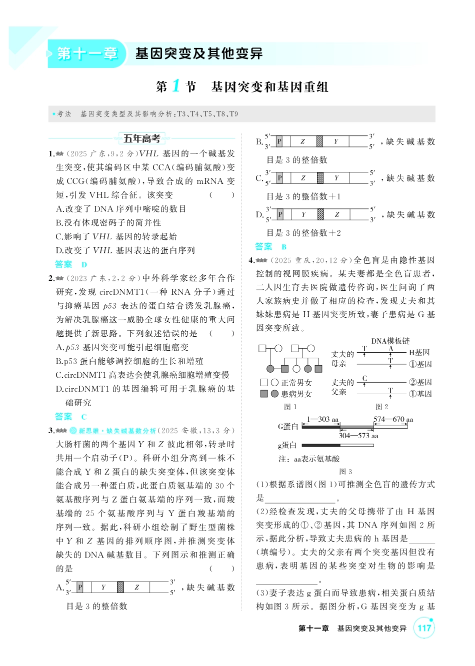 0_第十一章基因突变及其他变异精练.pdf_第1页