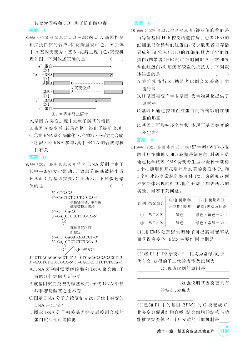0_第十一章基因突变及其他变异精练.pdf_第3页
