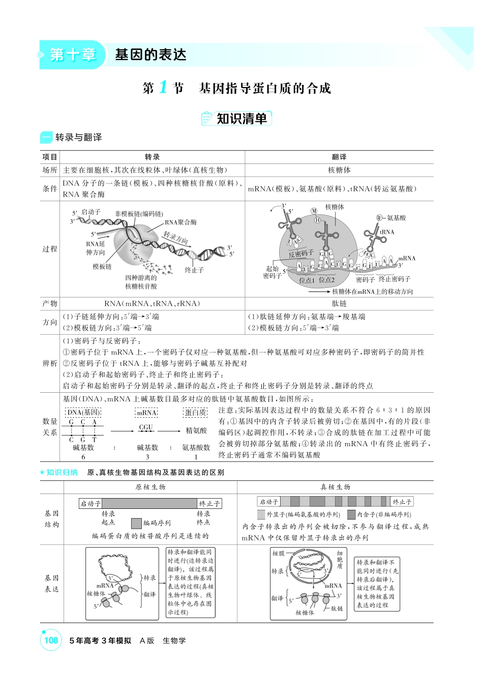 0_第十章基因的表达精讲.pdf_第1页