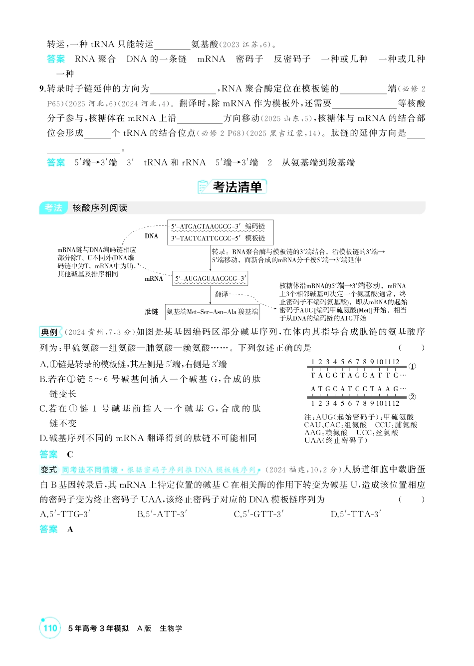 0_第十章基因的表达精讲.pdf_第3页