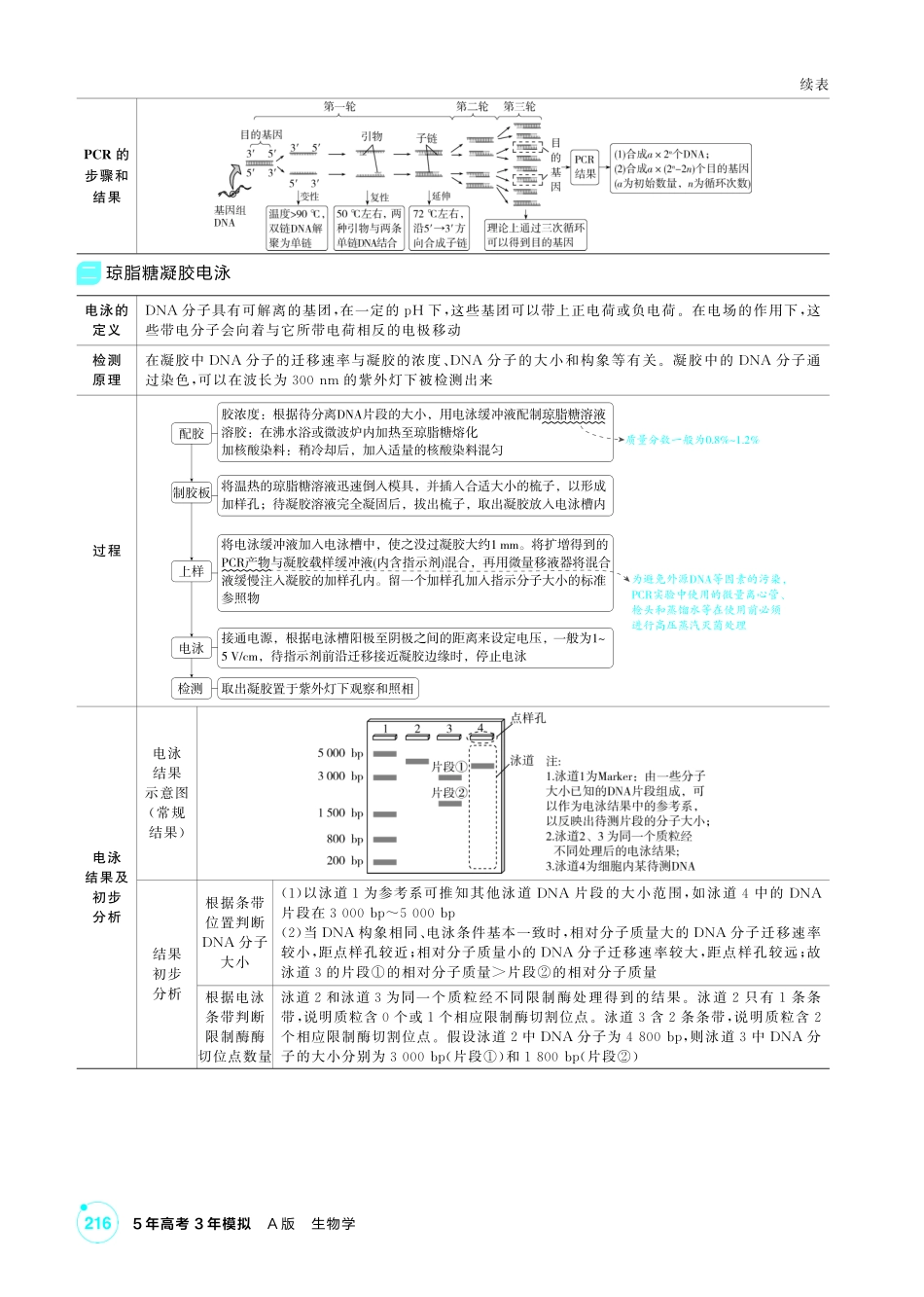 1_第二十四章基因工程精讲.pdf_第3页