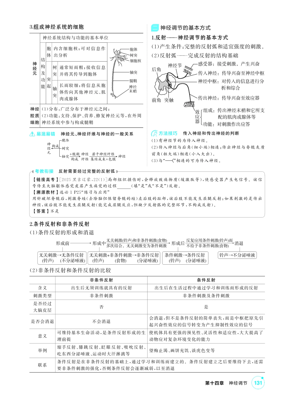 1_第十四章神经调节精讲.pdf_第2页