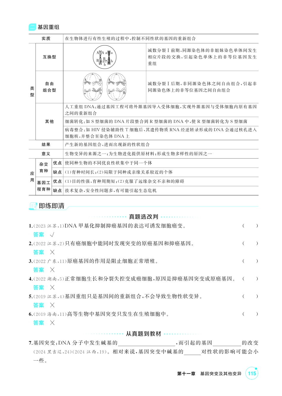 1_第十一章基因突变及其他变异精讲.pdf_第2页