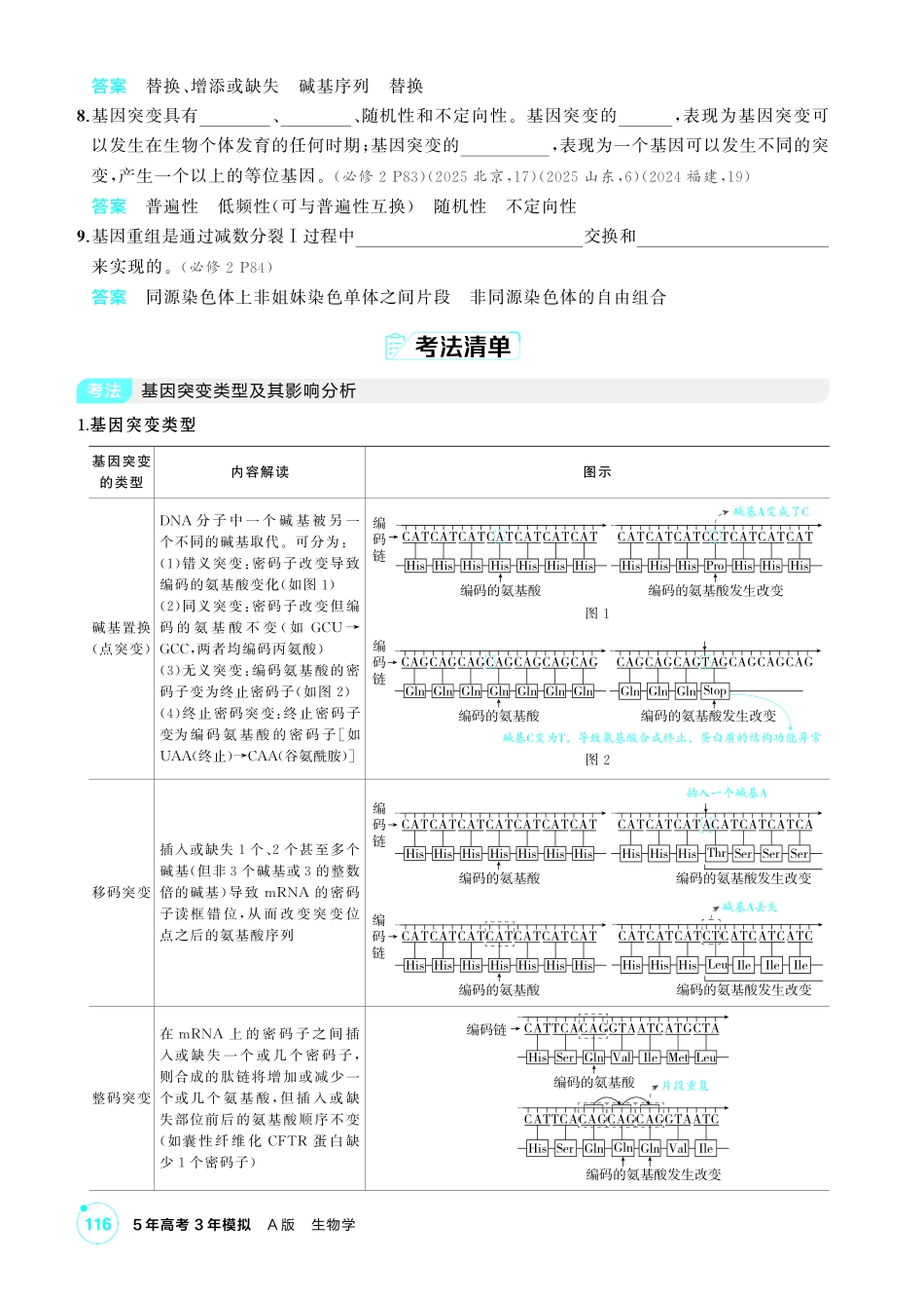 1_第十一章基因突变及其他变异精讲.pdf_第3页