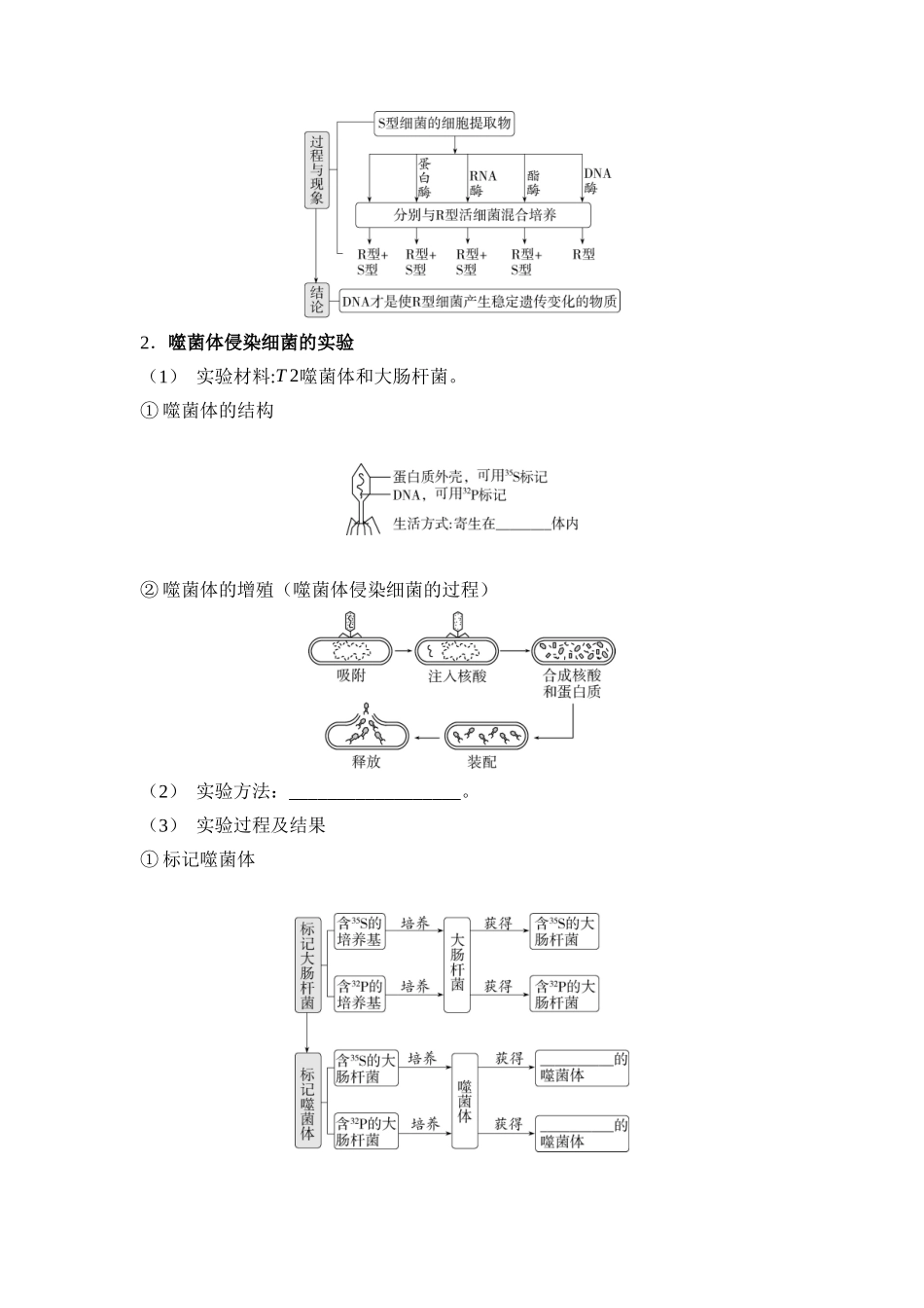 06-第6单元遗传的分子基础(教用).docx_第2页