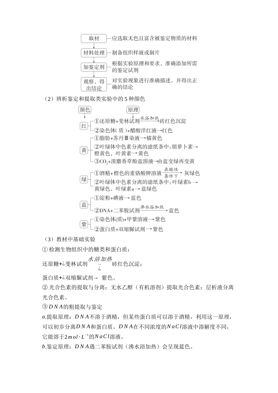 11-实验专题（教用）.docx_第3页