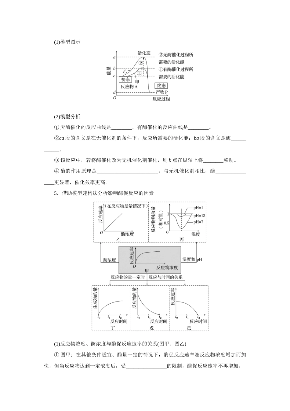 第1讲酶与ATP.docx_第3页